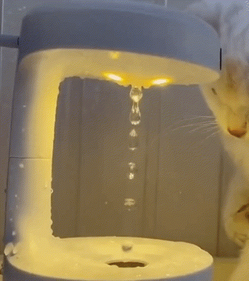 Anti-Gravity Humidifier - Zadon