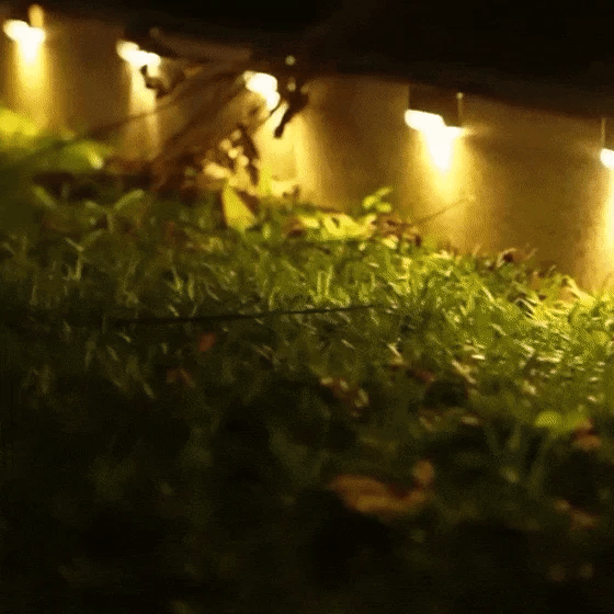 Stair Deck Solar Light - Zadon