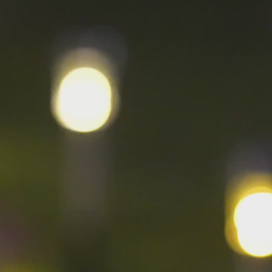 Solar Pathway Lamp | Outdoor Solar Light for Gardens, Pathways, & Driveways 🌟