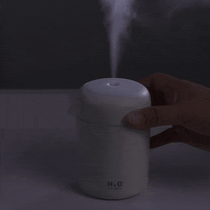 H2O Humidifier Aroma Diffuser - Zadon