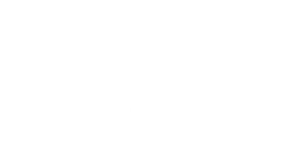ZADON — glowing ZD wordmark